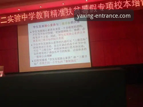 资深用户亲测：亚星官网与亚游官网的核心区别与安全访问心得