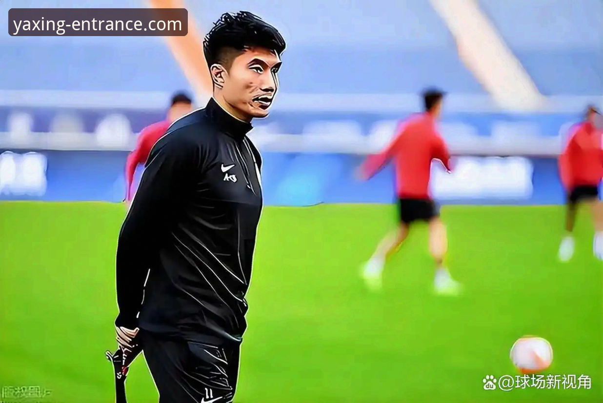 从“金元足球”到法庭审判：许家印案全程解析与亚星官网登录指南